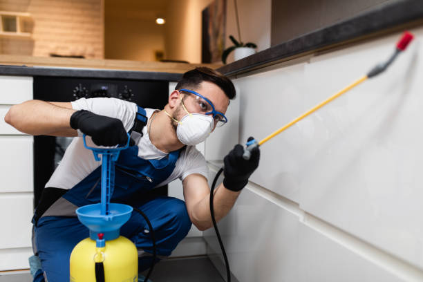 Best Pest Control Near Me  in Kotzebue, AK