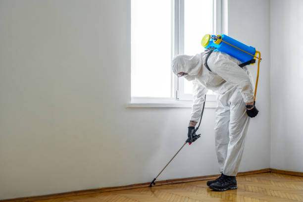 Best Pest Inspection Near Me  in Kotzebue, AK