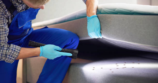 Best Emergency Pest Control  in Kotzebue, AK