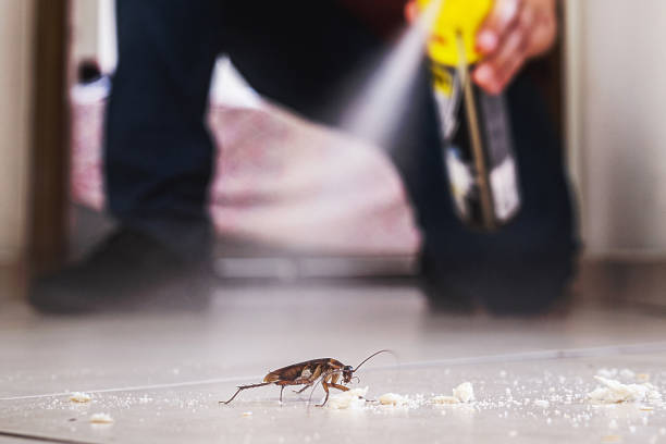 Reliable Kotzebue, AK Pest Control Solutions